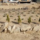 봄양계장 이미지