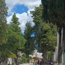 자유의집 이미지