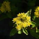 기린초등학교 이미지