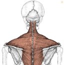 세종시365으랏차한의원 이미지