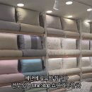 나나스베딩본오점