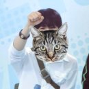 아이디드 네이버블로그