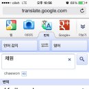 채원에대한 구글 번역기 결과 이미지