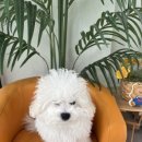 두루몽실 이미지