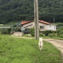 스테이 기북 이미지