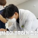 하루동물병원 이미지