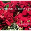 해피비젼안경원 이미지