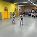 용인대 은성 태권도 이미지