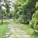 나의 첫 부동산 거래 후기(9-3)(화서역 - 화서블루밍 푸른숲 아파트)