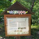 솔향이 진한 이미지