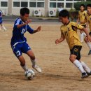 광탄중학교 이미지