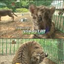 규화농장 이미지