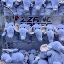 코끼리오락실 이미지