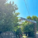 꿈에그린 캠핑장 | 포천 수영장 캠핑장 추천💦 꿈에그린캠핑장 다녀왔어요