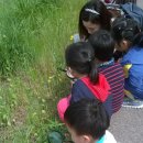 연흥 유치원 이미지