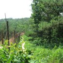 수원-0448 이미지