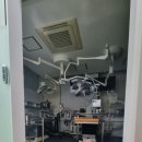 벧엘동물병원 네이버블로그