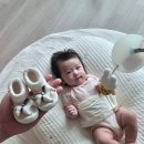 주식회사 더엘 | 아기 첫 신발은 언제부터? 100일 아기 걸음마 신발 꼬무신 베이비 포니 후기 (카카오 선물하기 추천)
