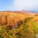 (주)행복나라여행사 이미지