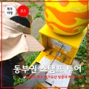 송당본향당 | 제주 국가유산 방문의 해 시즌 2 동부권 스탬프 투어