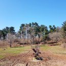 들레목장 이미지