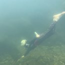 장수방화동캠핑장 이미지