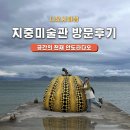 [다카마쓰] 나오시마 섬 안도다다오의 지중미술관 방문 후기
