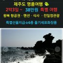 제주도 명품 여행 ~( 2박3일) 3월26일 ~ 28일(토요일 ~ 월요일) 이미지