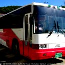 우등카인테리어 이미지