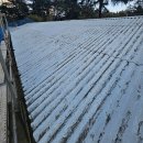 상수도사업본부 동부사업소 | 지붕 공사 : 대구 동부사업소 창고 지붕 방수 도장공사