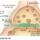 뉴런A