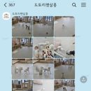 도토리 펫살롱 이미지