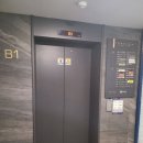 세종이음학교 앞 | 답답한 마음이 풀렸던 세종 이음사주타로 상담