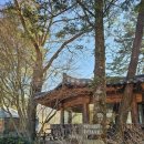 평창 월정사 팔각구층석탑 | [공유] #강원도가볼만한곳#평창#오대산#월정사#팔각구층석탑#국보#전나무숲길#마음챙김수행