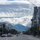 새충주약국 이미지