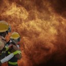 강서구-64 이미지