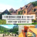 살롱제이드 | 춘천/가평 브런치 카페 &#39;살롱제이드&#39; 후기