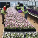 백양산 양묘장 이미지