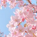 개화2리마을회관 이미지