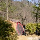 금대에코힐링캠핑장 이미지