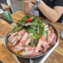 고향떡백화점 | [공지] 또리랑 5월 결산, 평화로운나날이 최고의 하루다