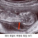 박산부인과 이미지