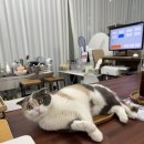 카페레오 다녀온 후기 올립니다. [2026.05.08] 카페매니저의 일상.