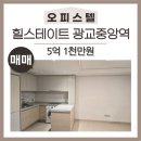 광교더빛나부동산공인중개사사무소 이미지