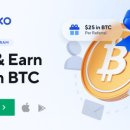 넥소 (NEXO)