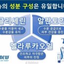 리뉴마켓 이미지