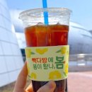 빽다방세종시정부