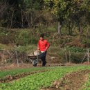 봉희농장 이미지