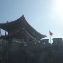 보리약국 Daum카페