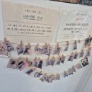 강아지 미용실 이미지